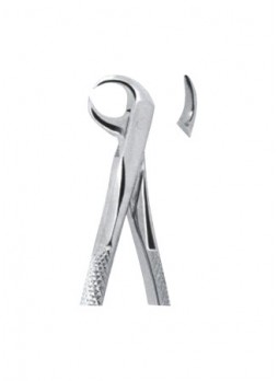 Extracting Forceps